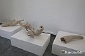 VBS_4076 - Paratissima 2021 - 17.ma Edizione